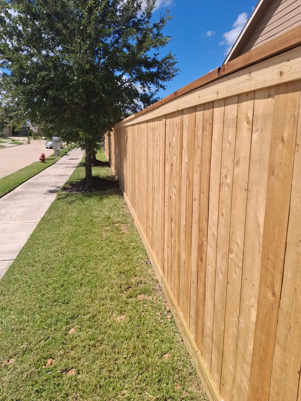 Freshly installed cedar privacy fence along a sidewalk