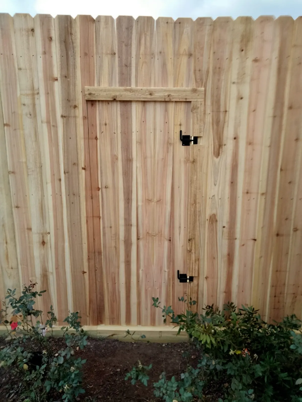 Cedar privacy fence with a walk-through gate in Katy