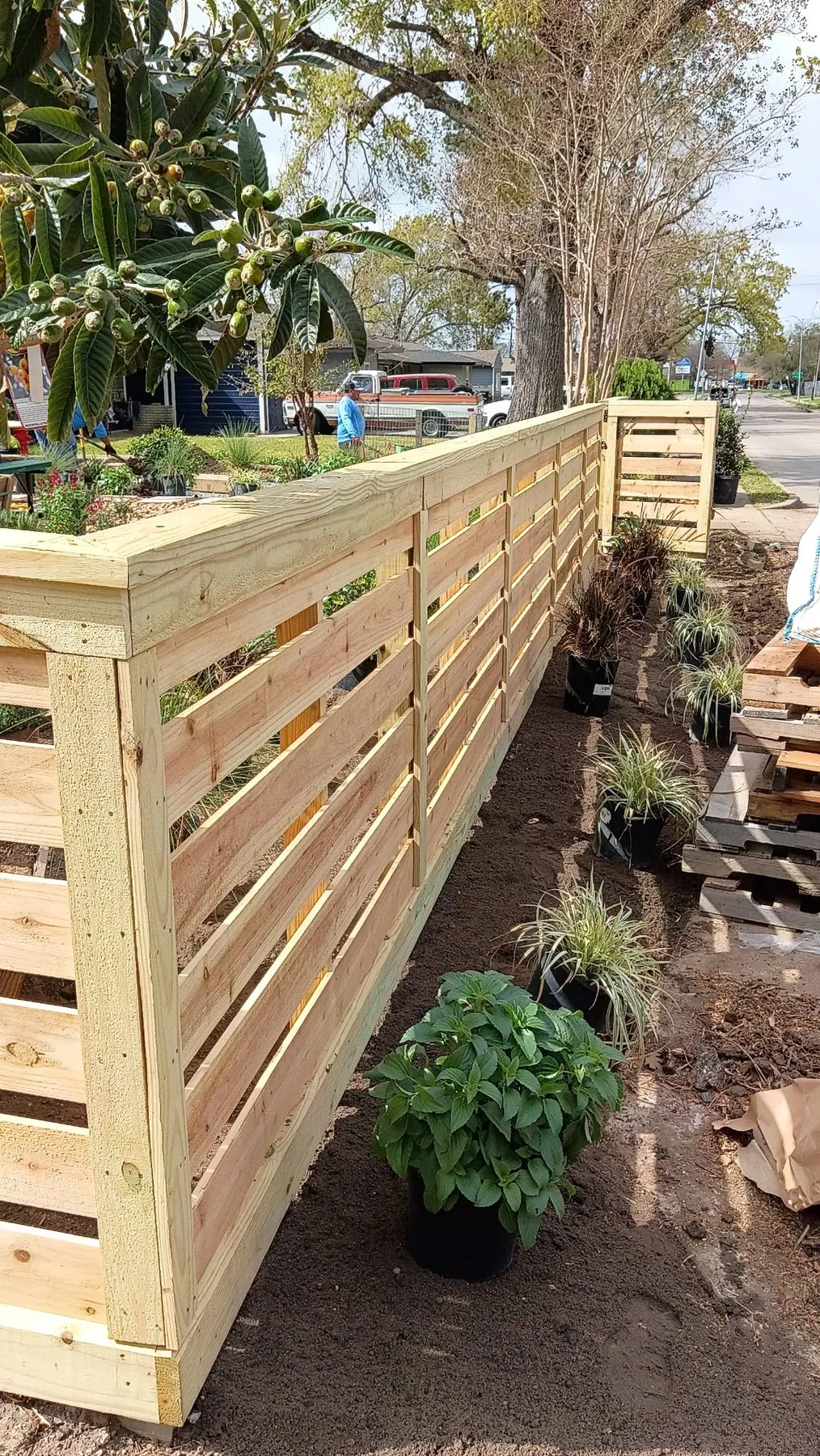 Horizontal wood fence along a garden bed with new plantings