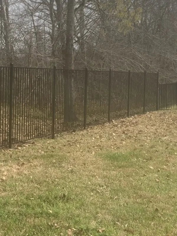 Black ornamental metal fence along a wooded lot in Richmond