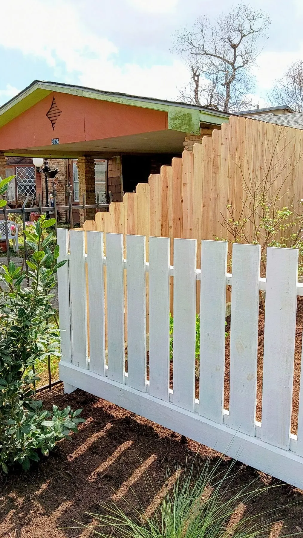 White vinyl picket fence in front of a tall cedar privacy fence