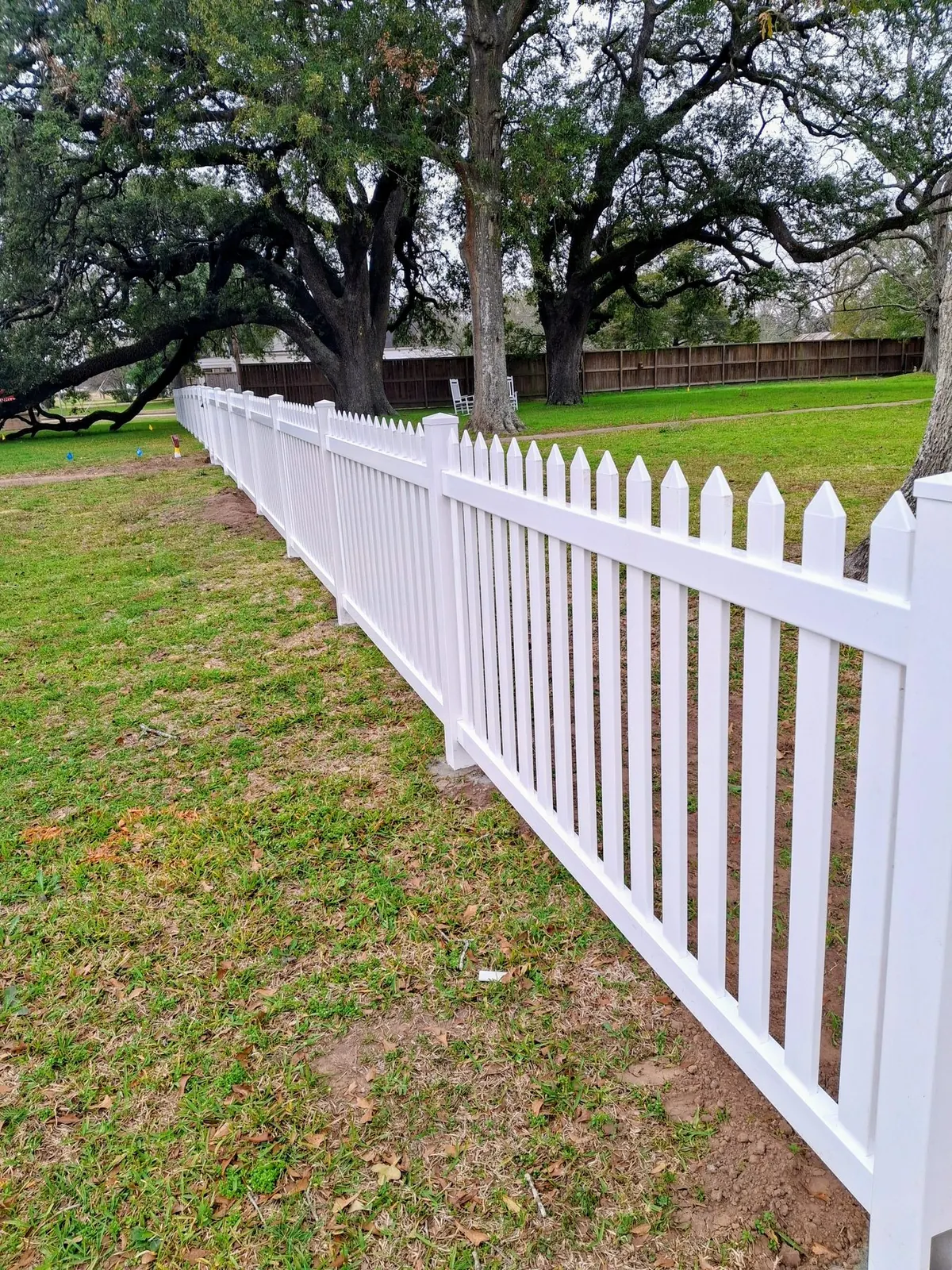 White vinyl picket fence along a lawn under old oak trees in Fulshear