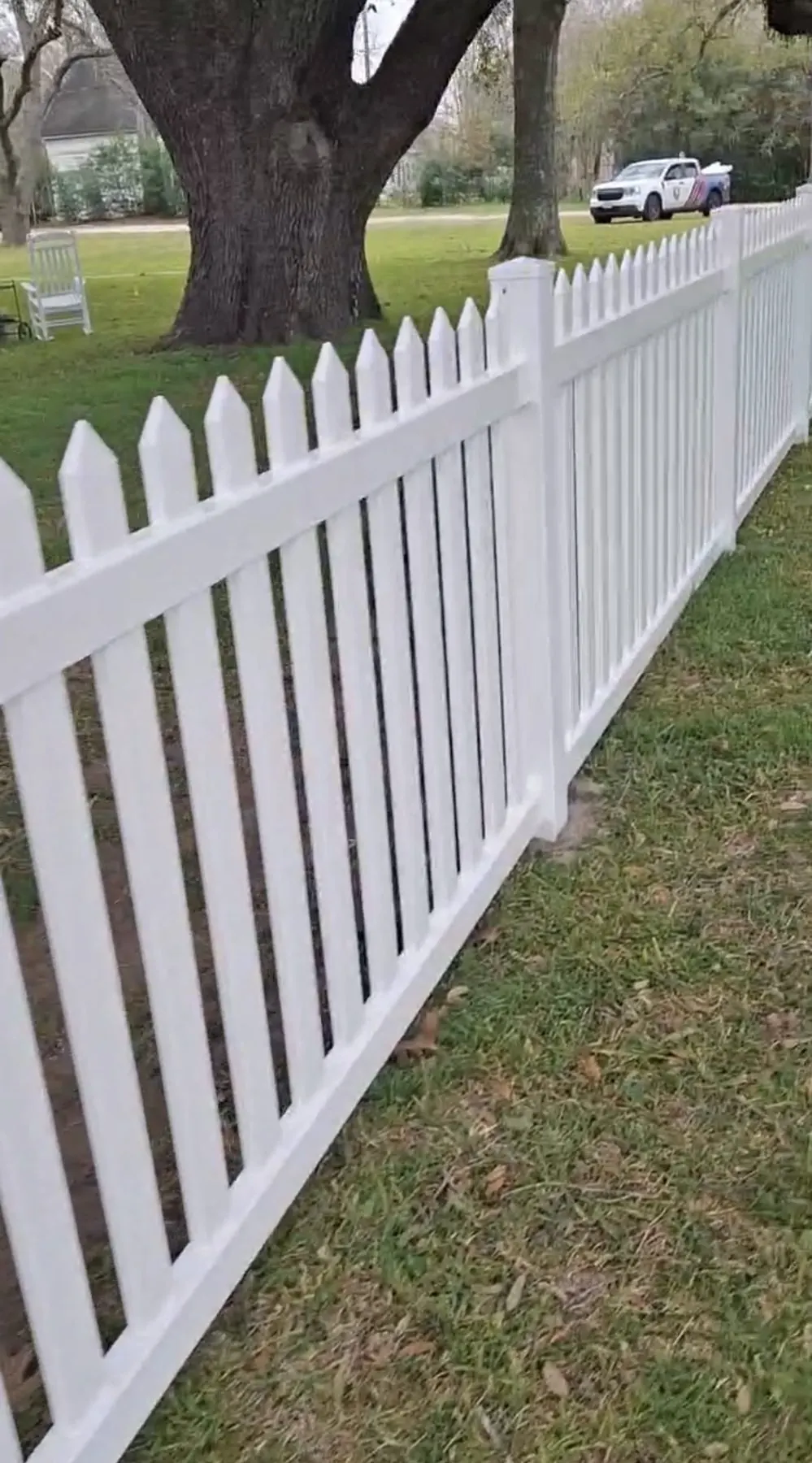 Freshly installed white vinyl picket fence with oak trees in Sealy
