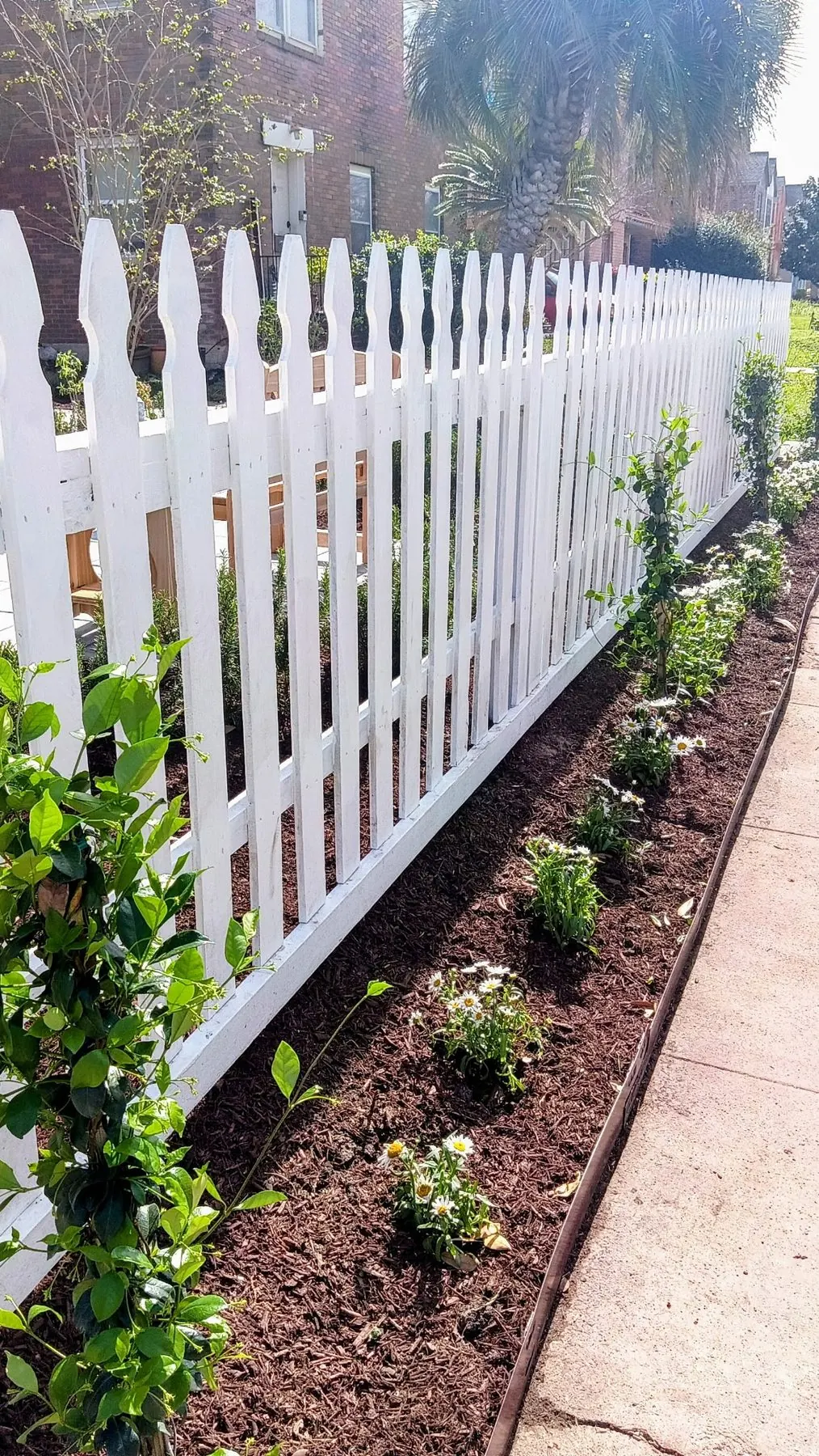 White picket fence along a planted garden bed in Sugar Land